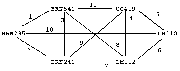 Sample Graph