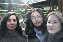 IMG_2655.JPG
